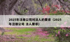 2025年注册公司对法人的要求（2025年注册公司 法人要求）
