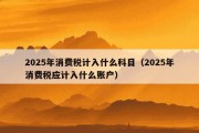 2025年消费税计入什么科目（2025年消费税应计入什么账户）