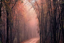 2025年万能转账生成器app（2025年微商截图聊天对话生成神器）